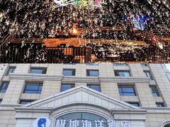 -海合安天津极地海洋公园