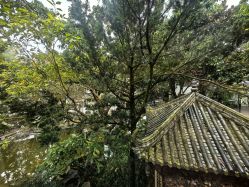 -莲生母婴月子中心(清水河公园店)