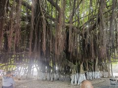 -胡里山炮台