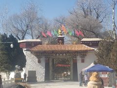 -罗布林卡