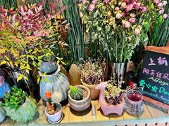 -萤火虫咖啡(后海店)