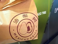 -油梨树 AVOCADO TREE(亮马桥店)