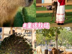 -盈香心动乐园