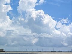 -上海吴淞炮台湾国家湿地公园