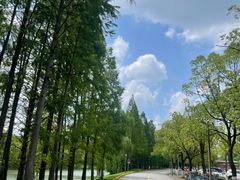 -上海交通大学(闵行校区)