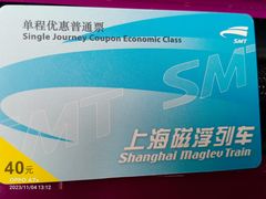 -龙阳路磁悬浮列车总站-停车场