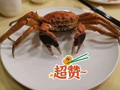 -王宝和酒家(黄浦店)