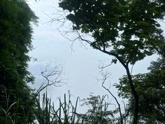 -川西竹海景区