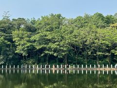 -西樵山风景名胜区-天湖公园