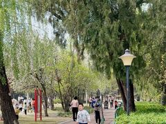 -达活泉公园