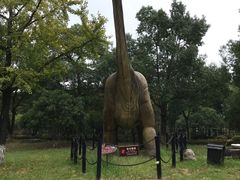 -金钉子远古世界景区