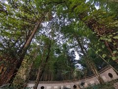 -大围山国家森林公园