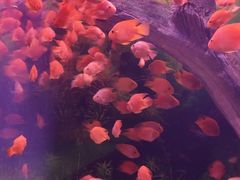 -常州海昌海洋探索馆