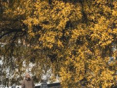 -报恩寺(平武县)