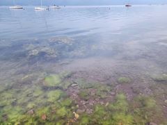-抚仙湖禄充风景区