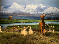 -中国湿地博物馆