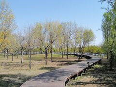 -东郊湿地公园