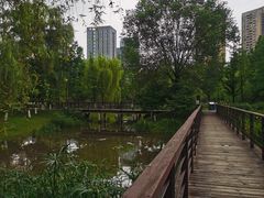 -沐仙湖湿地公园