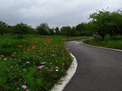 -桤木河湿地公园