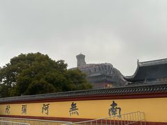 -上海东林寺(金山区)