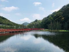 -广州市石门国家森林公园