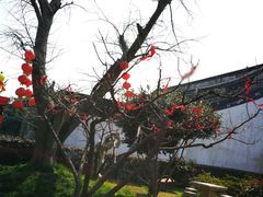 -雨花胜境