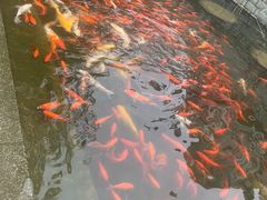 -济南方特东方神画