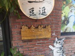 -豆逗聊愈猫阁Easy Life