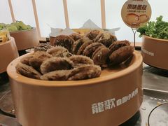 -龍歌自助小火锅(李沧丽达店)