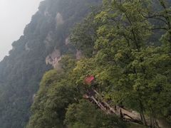 -陕西省红河谷森林公园