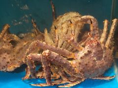 -蟹田居·活蟹料理(东城店)