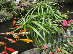 -聚福宝合苑食府(南头镇店)