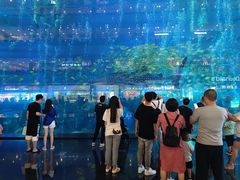 -成都浩海立方海洋公园