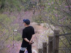 -天台山赤城山景区