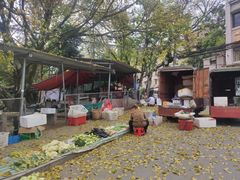 -西南政法大学(沙坪坝校区)