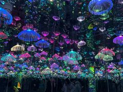 -梵高星空艺术馆(北京旗舰店)