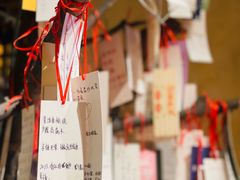 -泥糊破店小酒馆·团建聚餐(南京西路店)