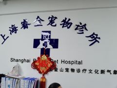 -睿金宠物医院·CT·肿瘤·骨外科
