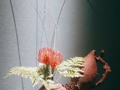 -觀芷隐轩