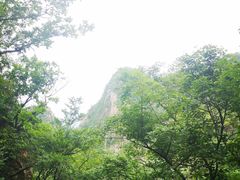 -大连天门山国家森林公园