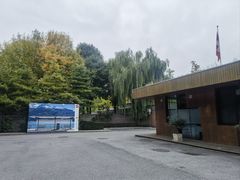 -三里屯东五街银杏大道