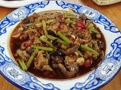 -青城甲(青城山店)