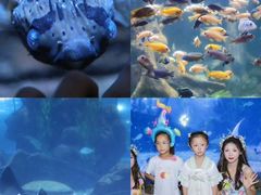 -南昌海洋公园