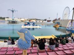 -秦皇岛乐岛海洋王国