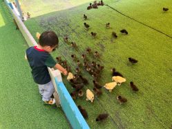 -萌宠亲子动物乐园(槐房万达店)