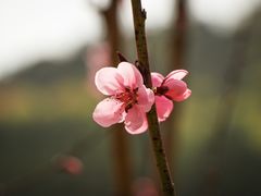 -苏州上方山国家森林公园