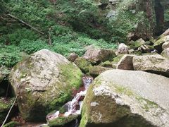 -五女峰国家森林公园