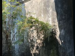 -东山风景区(洞庭东山)