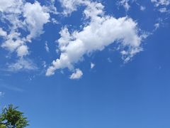 -野鸭湖国家湿地公园