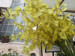 -BeauTea水仙(coco park店)